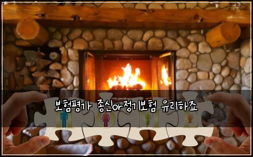 보험평가 종신or정기보험 유리하죠