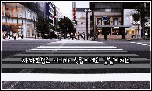 자차보험료 여기가 정답이네요 낱낱이체크