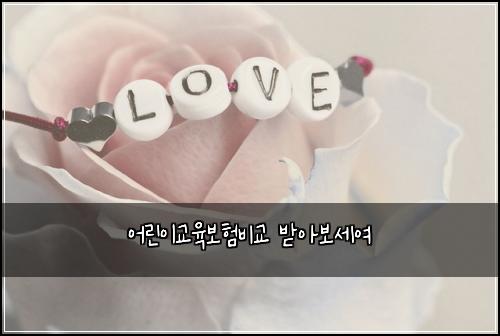 어린이교육보험비교 받아보세여