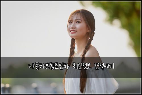 자동차보험료인하 최신정보 견적내기