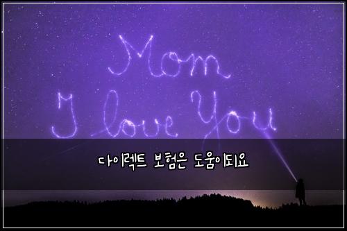 ๋ค์ด๋ ํธ ๋ณดํ์ ๋์์ด๋์