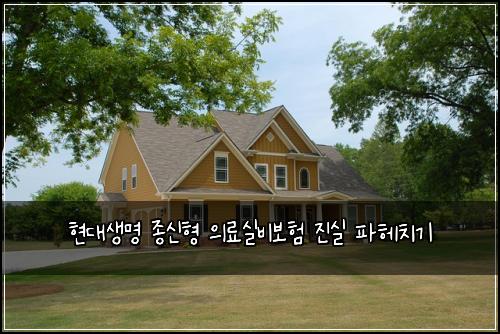 현대생명 종신형 의료실비보험 진실 파헤치기