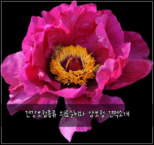 건강보험종류 의료실비와 암보험 견적소개