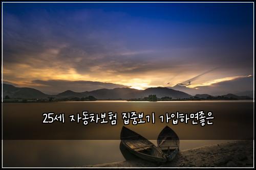 25์ธ ์๋์ฐจ๋ณดํ ์ง์ค๋ณด๊ธฐ ๊ฐ์
ํ๋ฉด์ข์