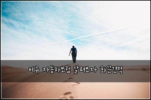 베뉴 자동차보험 살펴보자  화끈견적