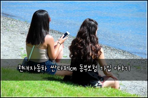 현대자동차 싼타페cm 동부보험 가입 이야기