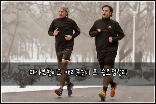 태아보험비교 매리츠실비 프 중요점정리