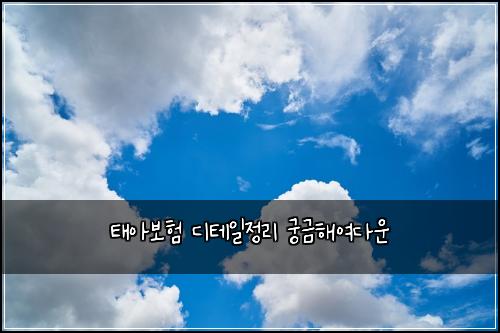 ํ์๋ณดํ ๋ํ
์ผ์ ๋ฆฌ ๊ถ๊ธํด์ฌ๋ค์ด