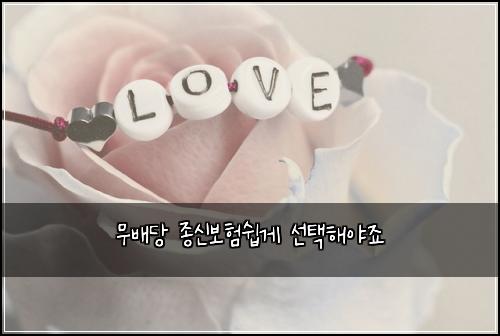 무배당 종신보험쉽게 선택해야죠