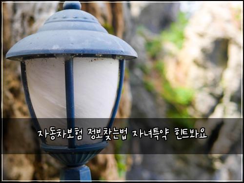 ์๋์ฐจ๋ณดํ ์ ๋ณด์ฐพ๋๋ฒ ์๋
ํน์ฝ ํํธ๋ด์