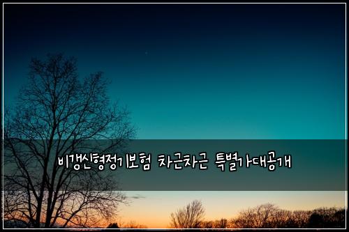 비갱신형정기보험 차근차근  특별가대공개