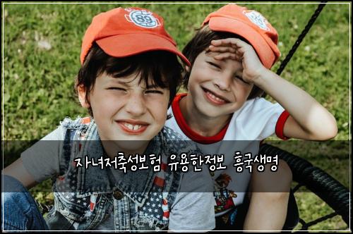 자녀저축성보험 유용한정보  흥국생명