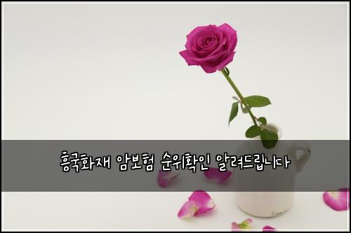 흥국화재 암보험 순위확인  알려드립니다