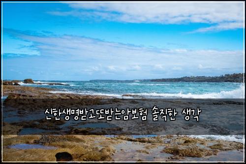 신한생명받고또받는암보험 솔직한 생각