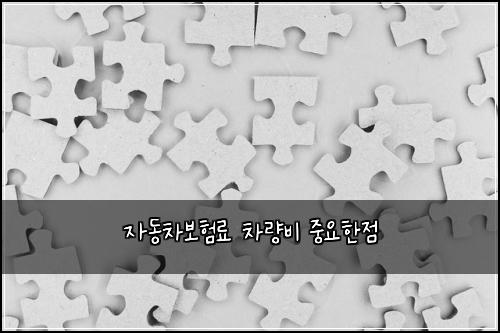 자동차보험료 차량비 중요한점