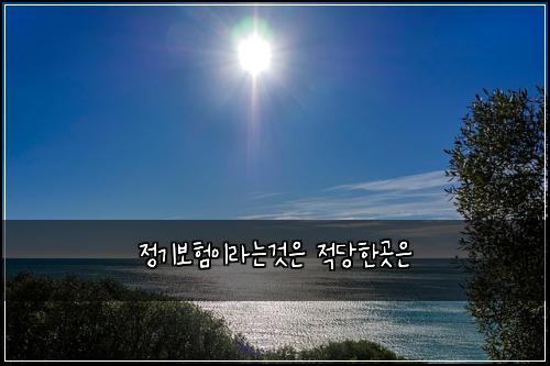 ์ ๊ธฐ๋ณดํ์ด๋ผ๋๊ฒ์ ์ ๋นํ๊ณณ์