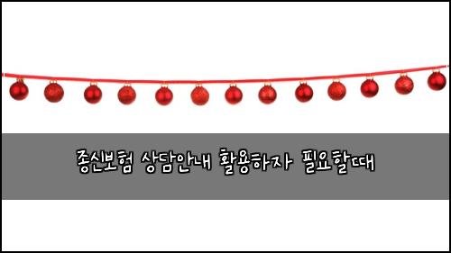 종신보험 상담안내  활용하자 필요할때
