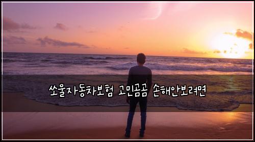 쏘울자동차보험 고민곰곰  손해안보려면
