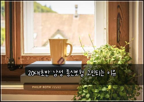 20대초반 남성 종신보험 고민되는 이유