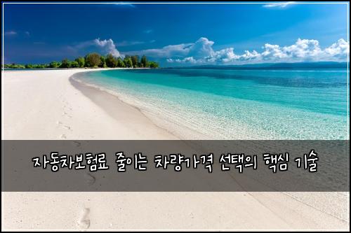 자동차보험료 줄이는 차량가격 선택의 핵심 기술