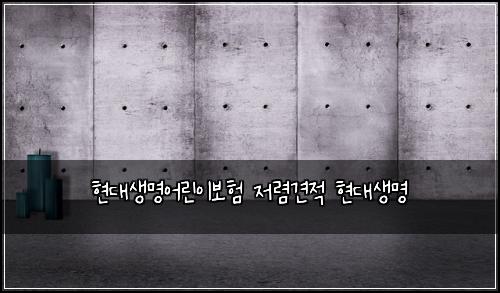 현대생명어린이보험 저렴견적  현대생명