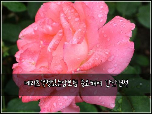 메리츠걱정없는암보험 중요해여  간단견적