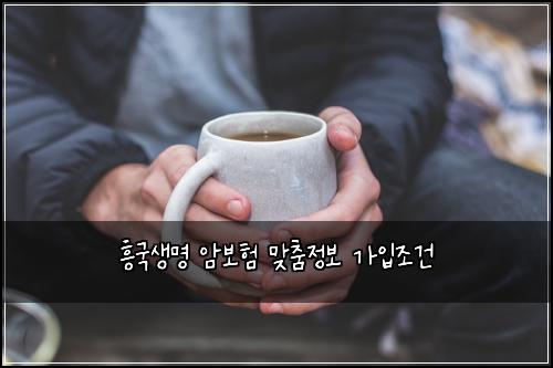 흥국생명 암보험 맞춤정보  가입조건
