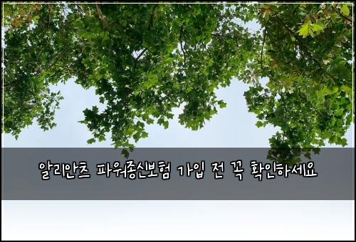 알리안츠 파워종신보험 가입 전 꼭 확인하세요