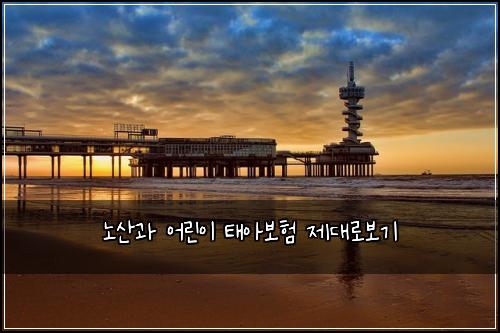 노산과 어린이 태아보험 제대로보기 