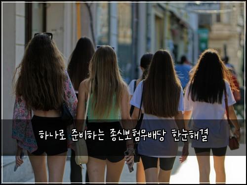 하나로 준비하는 종신보험무배당 한눈해결