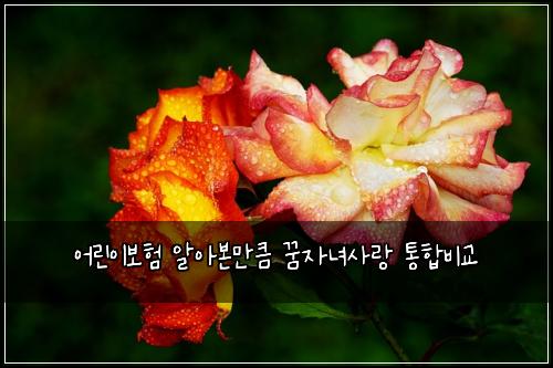 ์ด๋ฆฐ์ด๋ณดํ ์์๋ณธ๋งํผ ๊ฟ์๋
์ฌ๋ ํตํฉ๋น๊ต