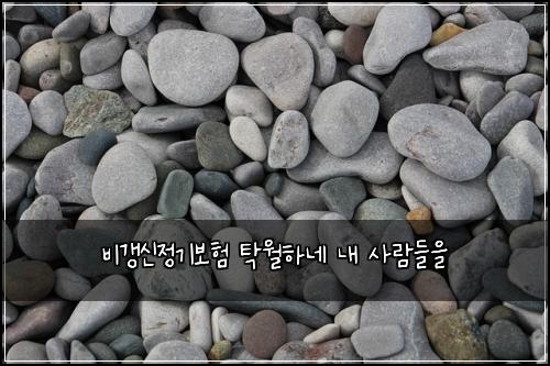 비갱신정기보험 탁월하네  내 사람들을