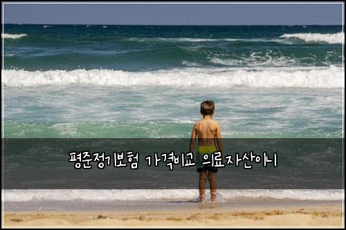 평준정기보험 가격비교  의료자산이니