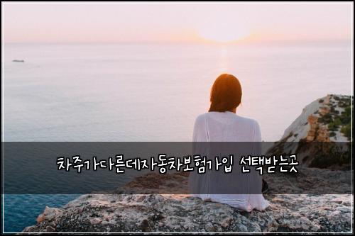 차주가다른데자동차보험가입 선택받는곳