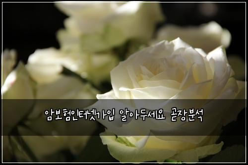 ์๋ณดํ์ธํฐ๋ท๊ฐ์
์์๋์ธ์ ๊ณง์ฅ๋ถ์
