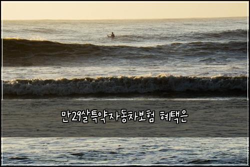๋ง29์ดํน์ฝ์๋์ฐจ๋ณดํ ํํ์