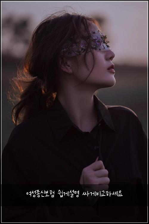 여성종신보험 쉽게설명  싸게비교하세요