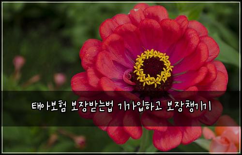 ํ์๋ณดํ ๋ณด์ฅ๋ฐ๋๋ฒ ๊ธฐ๊ฐ์
ํ๊ณ ๋ณด์ฅ์ฑ๊ธฐ๊ธฐ