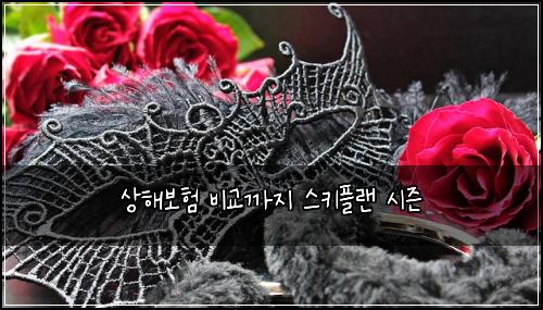 상해보험 비교까지  스키플랜 시즌