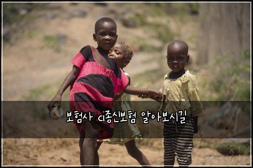 보험사 ci종신보험 알아보시길