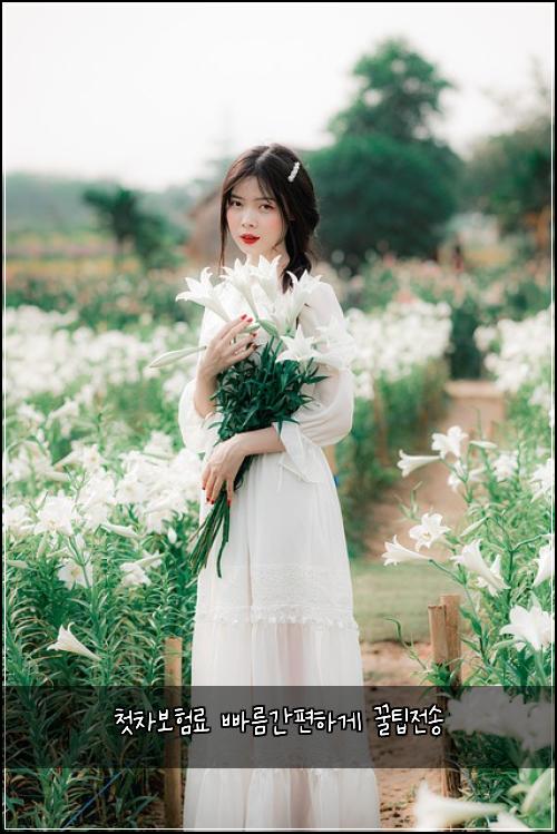 첫차보험료 빠름간편하게 꿀팁전송