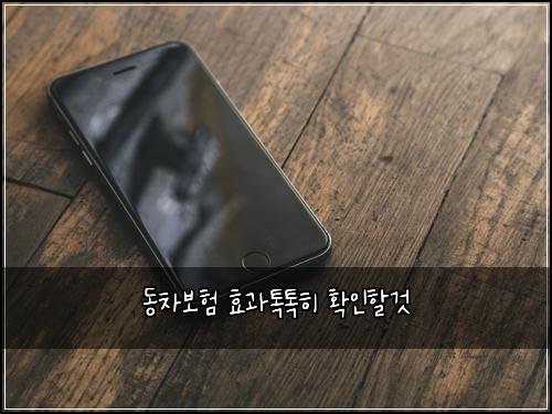 동차보험 효과톡톡히  확인할것