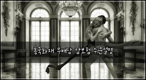 흥국화재 무배당 암보험 쉬운설명 