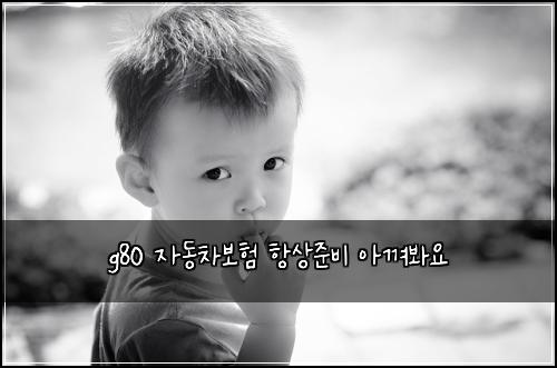 g80 ์๋์ฐจ๋ณดํ ํญ์์ค๋น ์๊ปด๋ด์