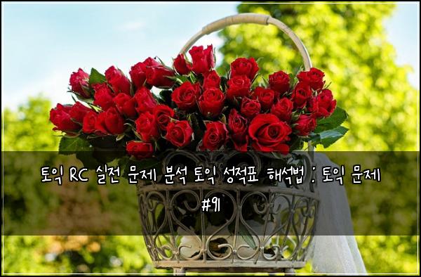 토익 RC 실전 문제 분석 토익 성적표 해석법 : 토익 문제 #91