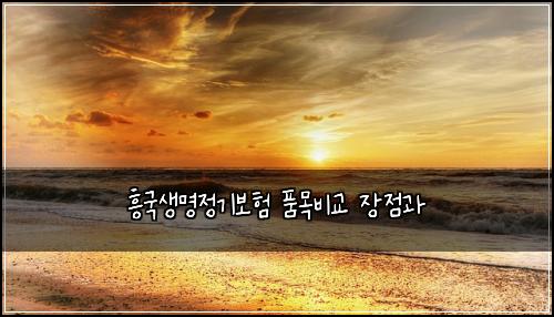흥국생명정기보험 품목비교  장점과