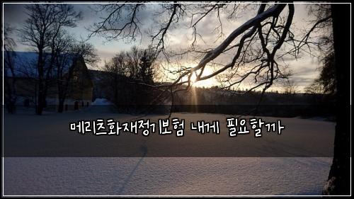 메리츠화재정기보험 내게 필요할까