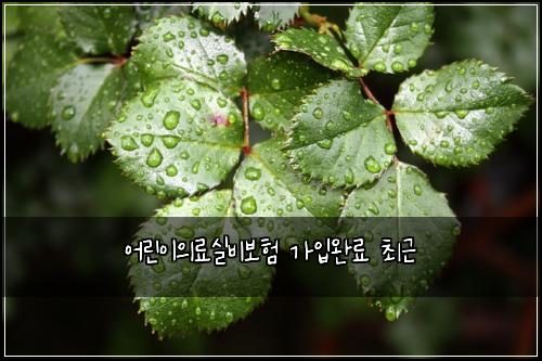 어린이의료실비보험 가입완료  최근