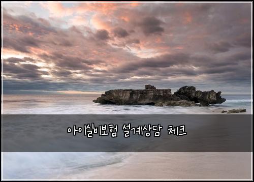 아이실비보험 설계상담  체크