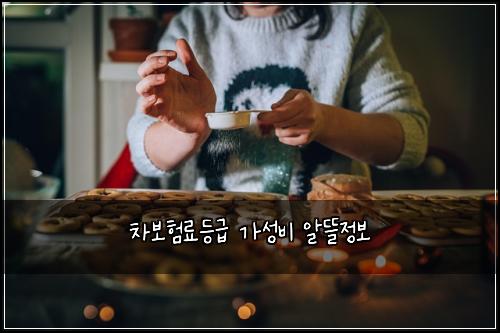차보험료등급 가성비 알뜰정보